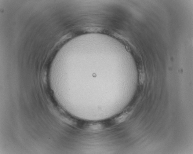 X0000077370263200611171956