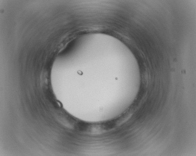 X0000077370264200611171956