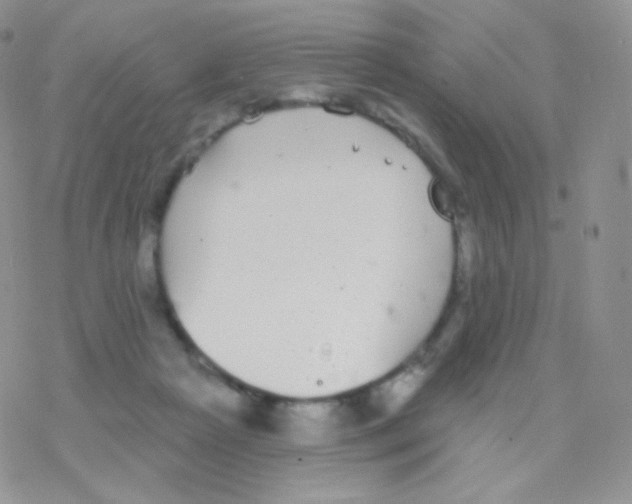 X0000077370265200611171956