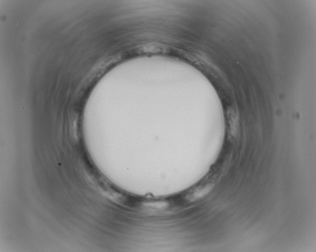 X0000077370266200611171956