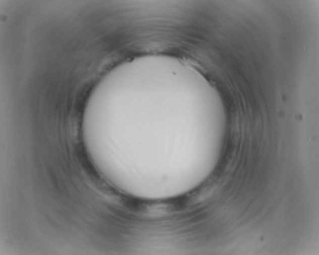 X0000077370268200611171956