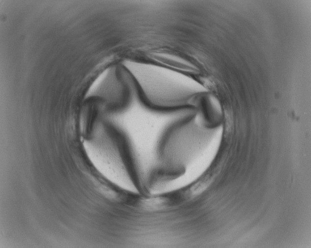 X0000077370269200611171956