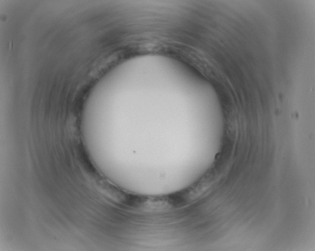 X0000077370270200611171956