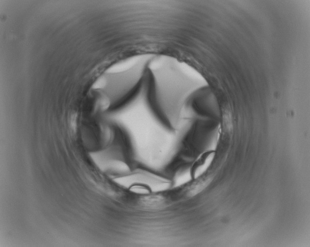 X0000077370271200611171956