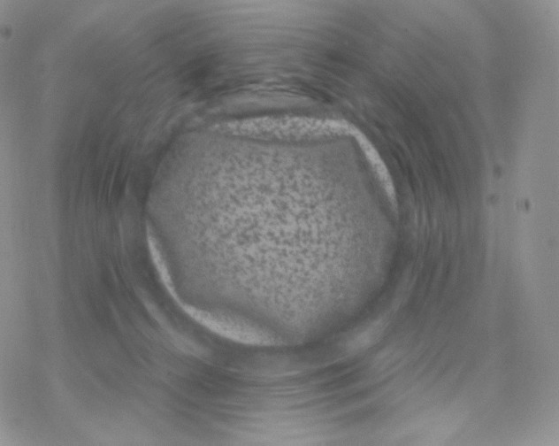 X0000077370272200611171956