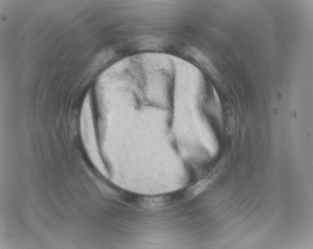 X0000077370273200611171956