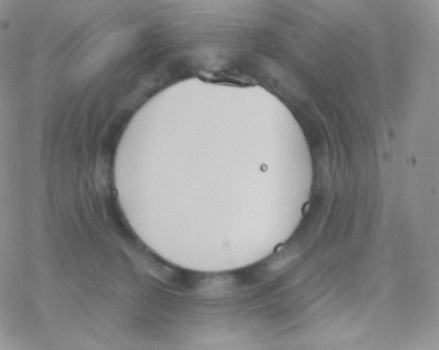 X0000077370274200611171956