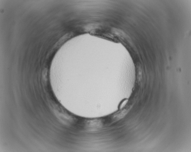 X0000077370275200611171956