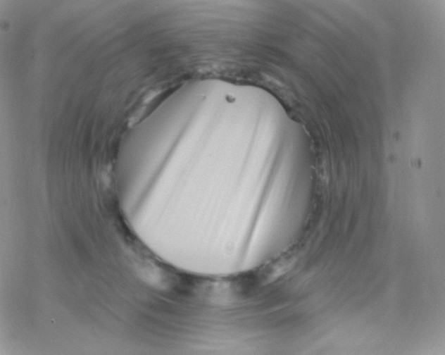 X0000077370276200611171956