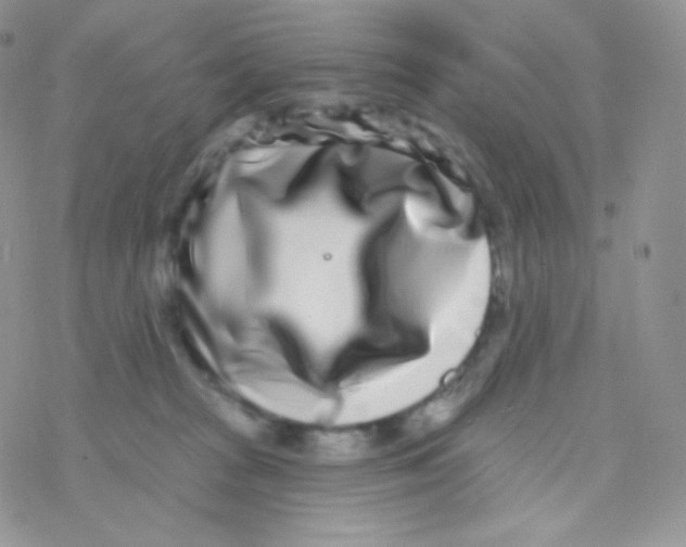 X0000077370277200611171956