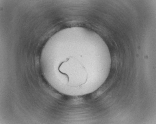 X0000077370278200611171956