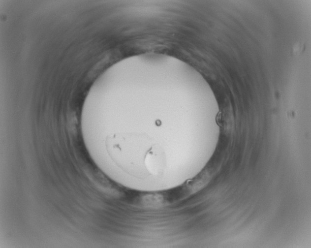 X0000077370279200611171956