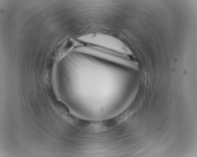 X0000077370280200611171956