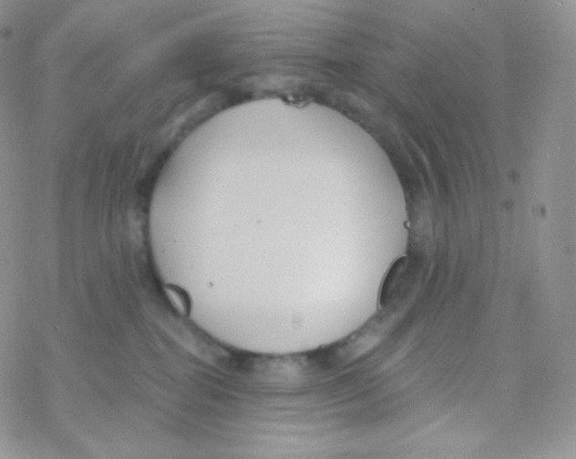 X0000077370282200611171956