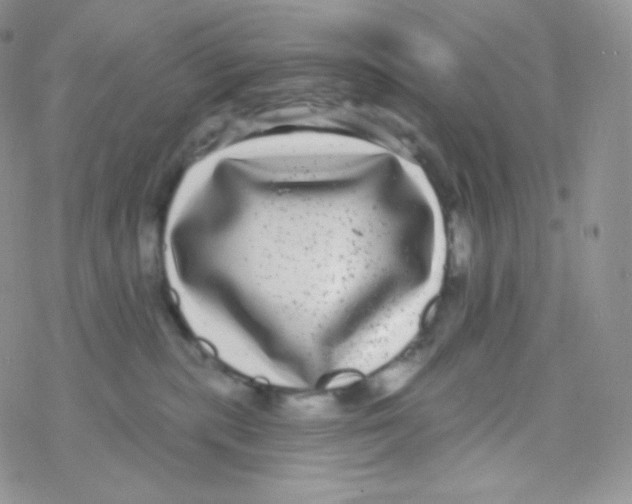 X0000077370283200611171956