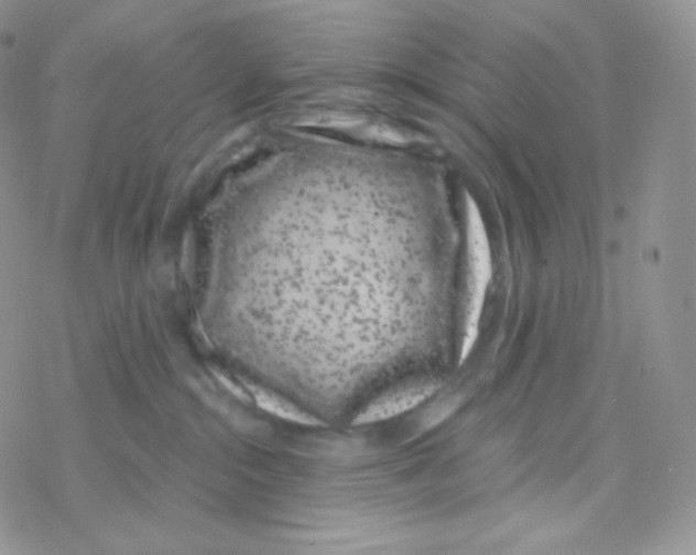 X0000077370284200611171956