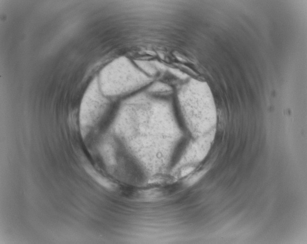 X0000077370286200611171957