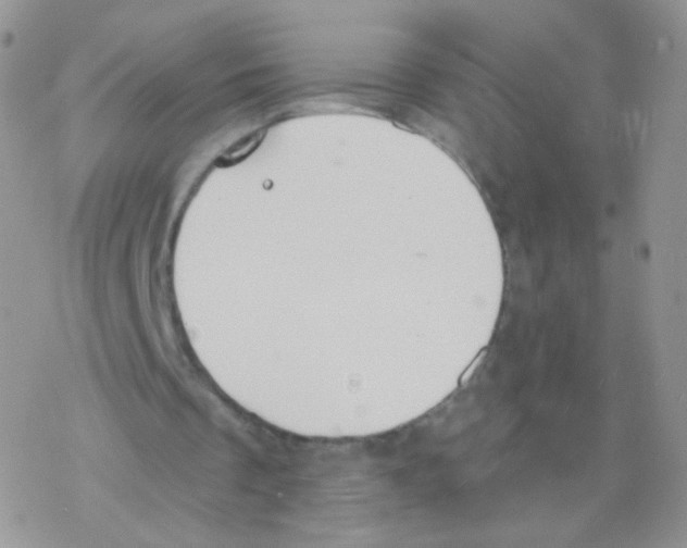 X0000077370289200611171956