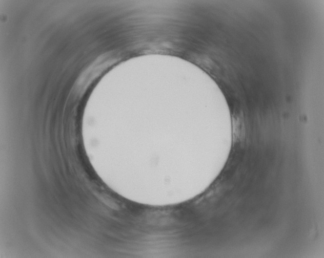 X0000077370291200611171956