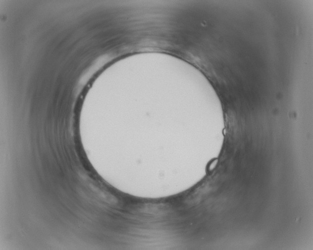 X0000077370292200611171956