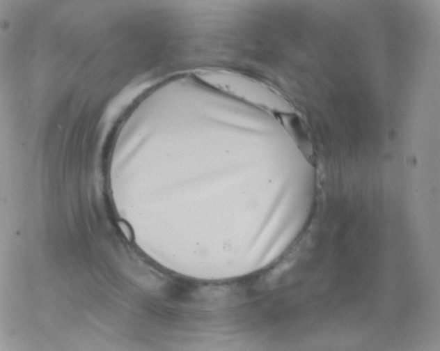 X0000077370294200611171956