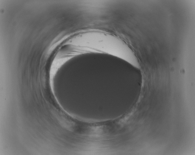 X0000077370295200611171956