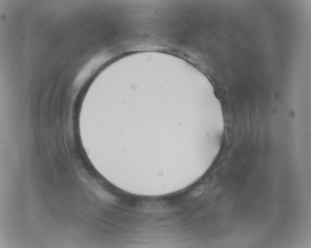 X0000077370296200611171956