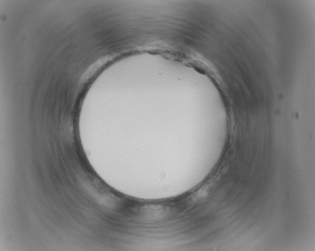 X0000077370298200611171956