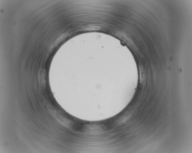 X0000077370300200611171956