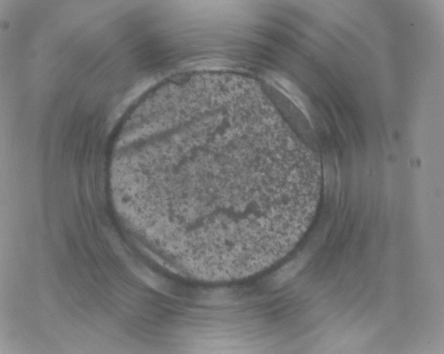 X0000077370301200611171956