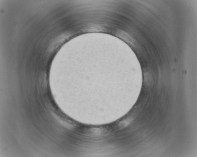 X0000077370302200611171956