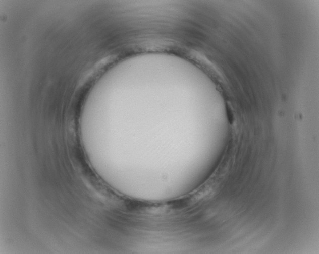 X0000077370306200611171955