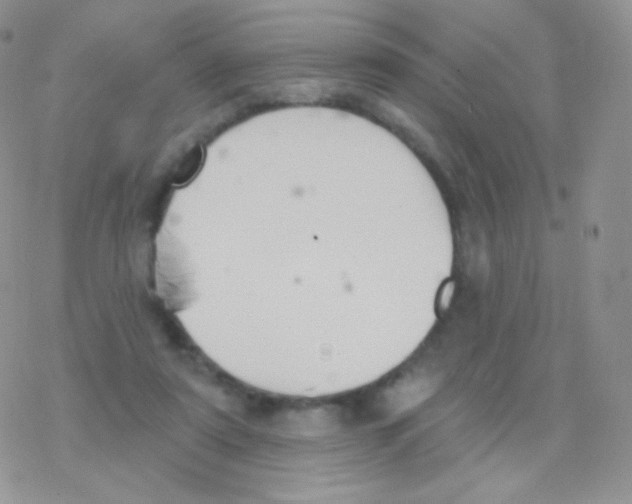 X0000077370307200611171955