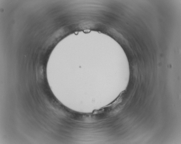 X0000077370308200611171955