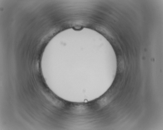 X0000077370310200611171955