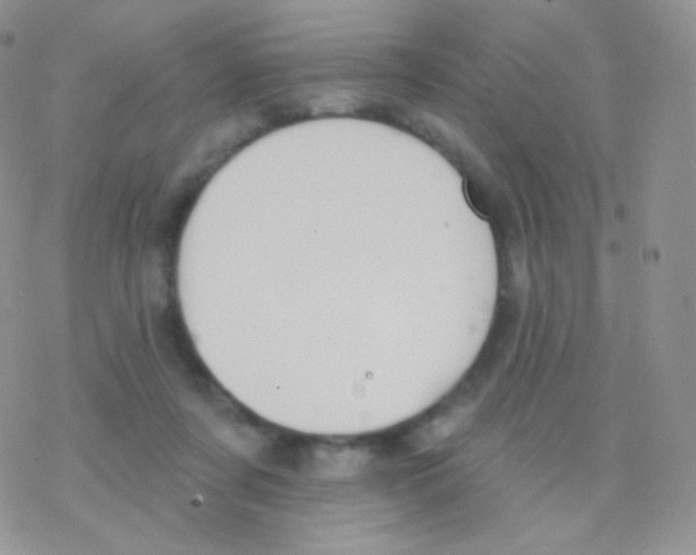 X0000077370311200611171955