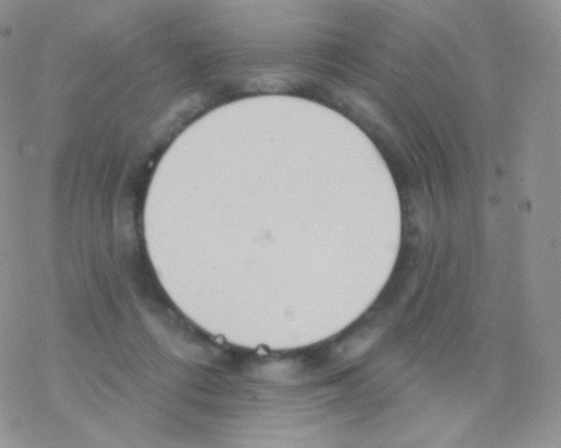 X0000077370312200611171955