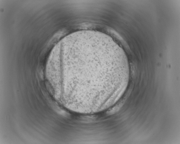 X0000077370313200611171955