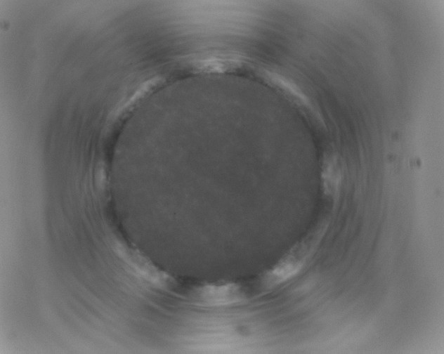 X0000077370314200611171955