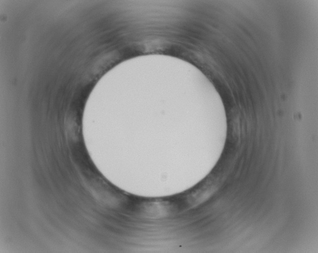 X0000077370316200611171955