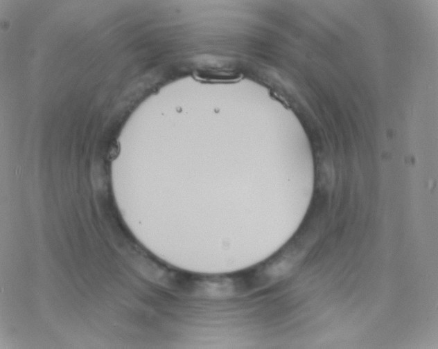 X0000077370317200611171955