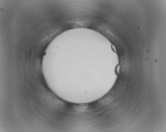 X0000077370318200611171955