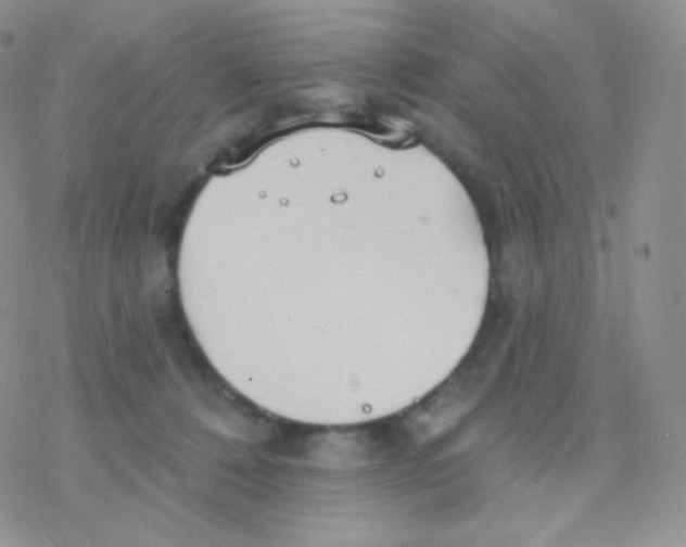 X0000077370320200611171955