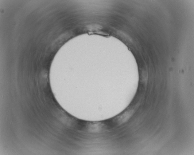 X0000077370321200611171955