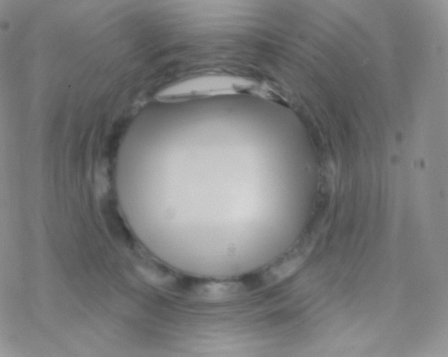 X0000077370323200611171955