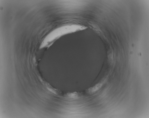 X0000077370325200611171955