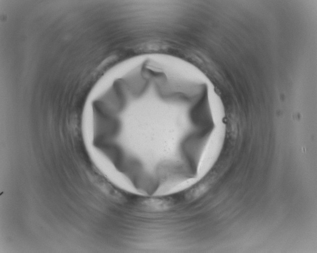 X0000077370326200611171955