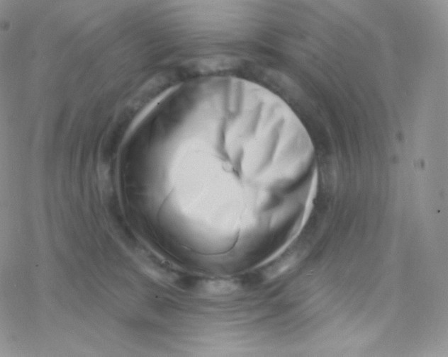 X0000077370327200611171955