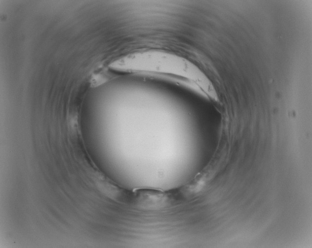 X0000077370329200611171955