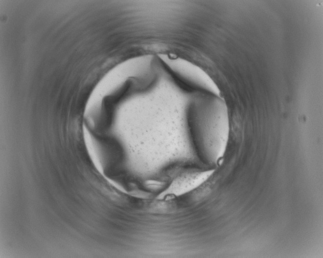 X0000077370330200611171955